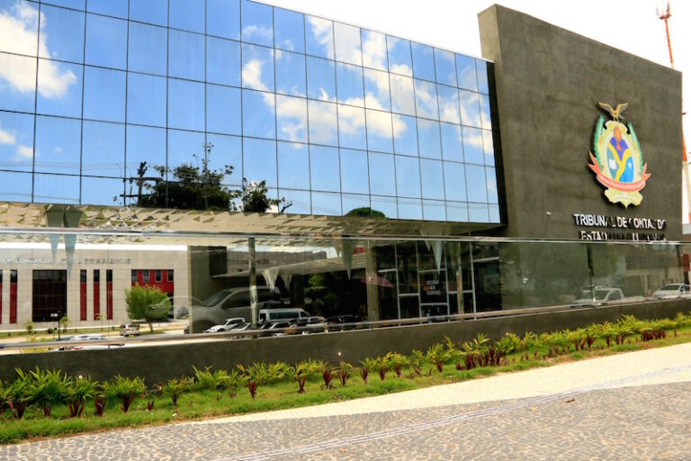 MP no TCE/AM apura flagrantes do IPAAM sobre desmatamentos ilegais