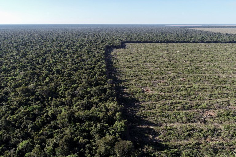 AGU obtém bloqueio de R$ 14,5 milhões em bens de desmatador da Amazônia