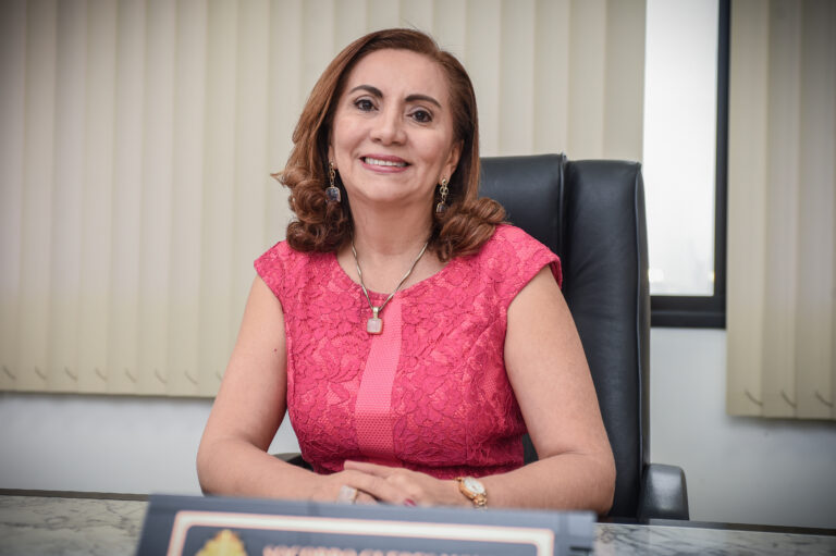 Desvirtuamento de contratação temporária de servidor no Estado do Amazonas e seus efeitos