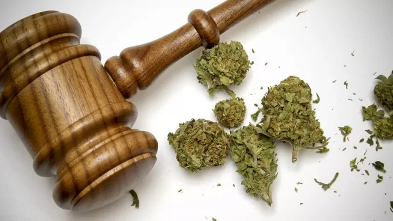 Ser pego com quantidade considerável de maconha em veículo configura tráfico de drogas, afirma TJAM