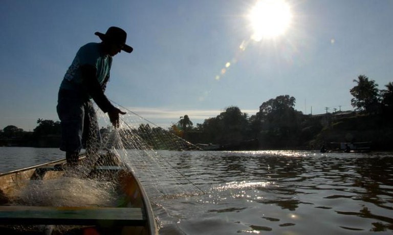 Em Itamarati-Am, pesca de pirarucu para consumo pessoal não atrai a fúria penal do Estado