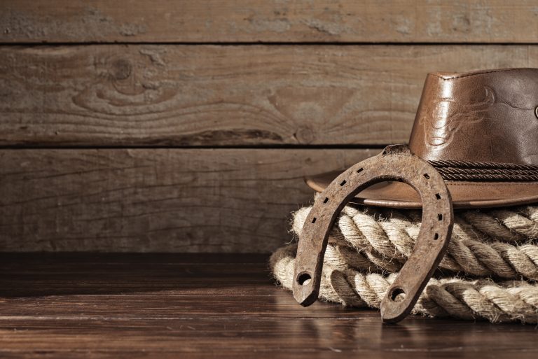 Maus tratos de animais devem ser evitados em práticas desportivas, assegura decisão em Manaus