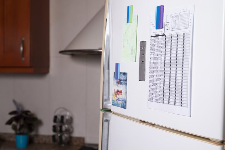 Candidato que requer liminar para nomeação a cargo público deve dar prova firme desse direito