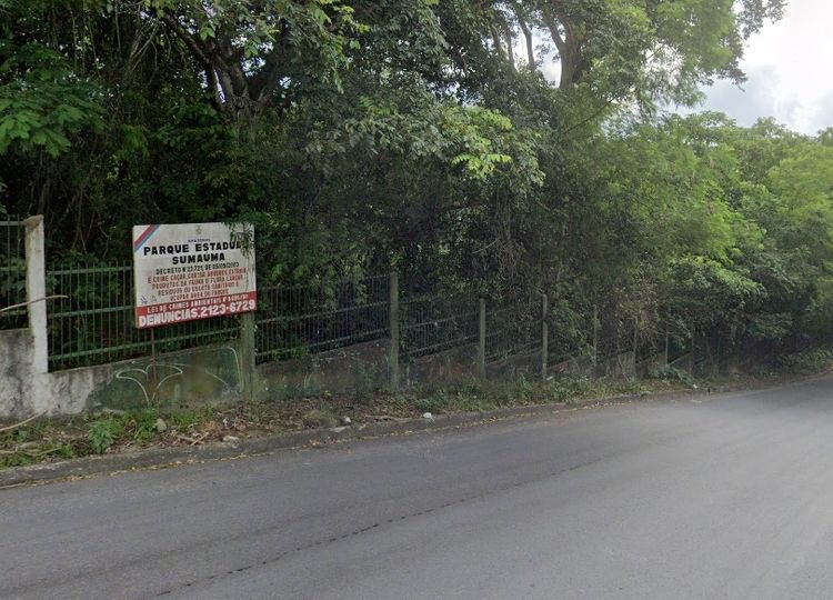 Grade de proteção do Parque Sumaúma não é coisa abandonada e acusado é condenado por furto