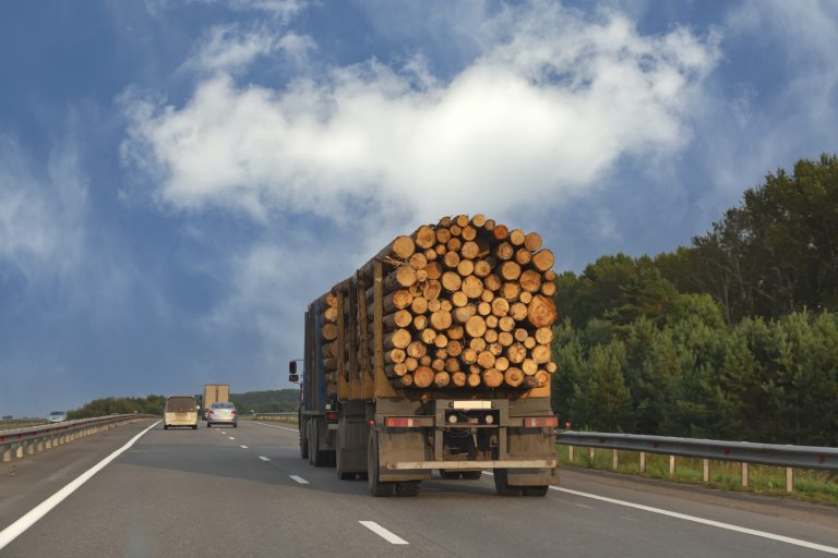 Caminhão é restituído à proprietária que não tinha conhecimento sobre a carga irregular em Humaitá