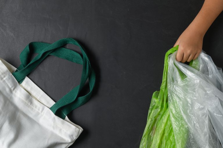 Consumidor: fiscalização em supermercados de Manaus constata venda ilegal de sacolas plásticas