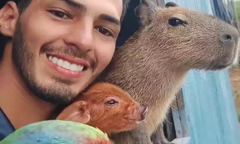 Uma simbiose perfeita com a floresta e com os animais, diz justiça sobre o caso Filó e o Influencer