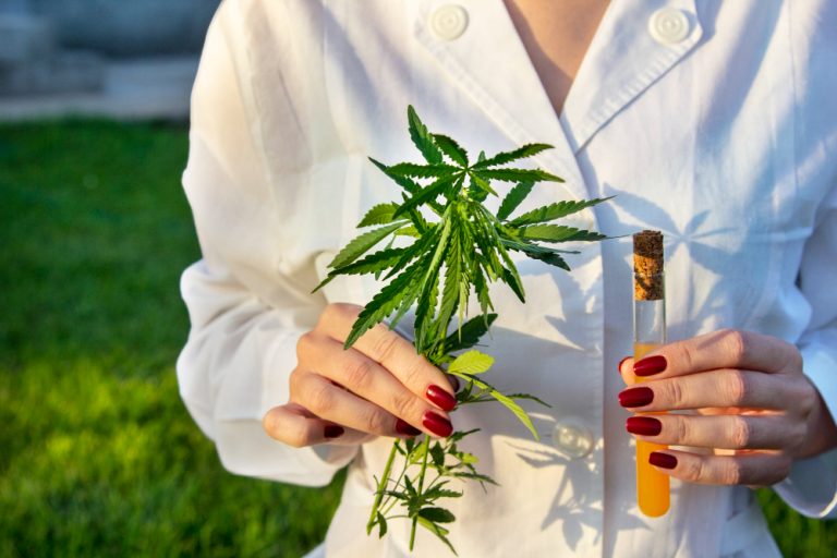Justiça autoriza empresa a manipular a Cannabis e seus derivados mediante prescrição médica