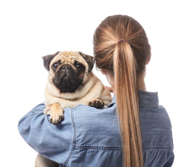 Animal de apoio emocional viaja com sua tutora no assento do avião após autorização da justiça