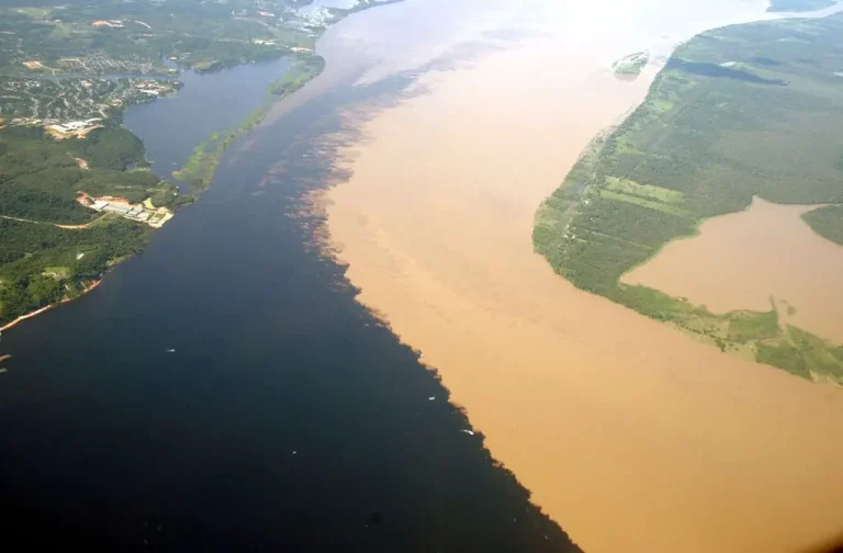 Justiça mantém condenação de empresa que lançou óleo no Rio Solimões, no Amazonas