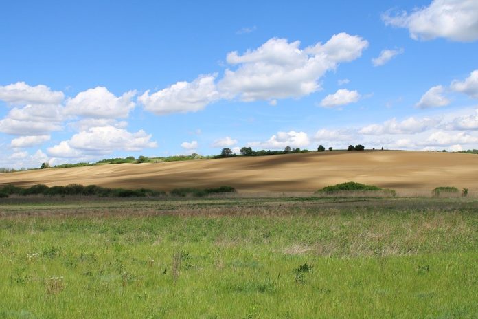 fazenda