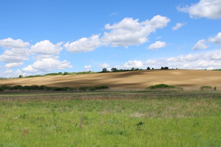 Servidor público não pode ser beneficiário de programa de reforma agrária, nem a mulher