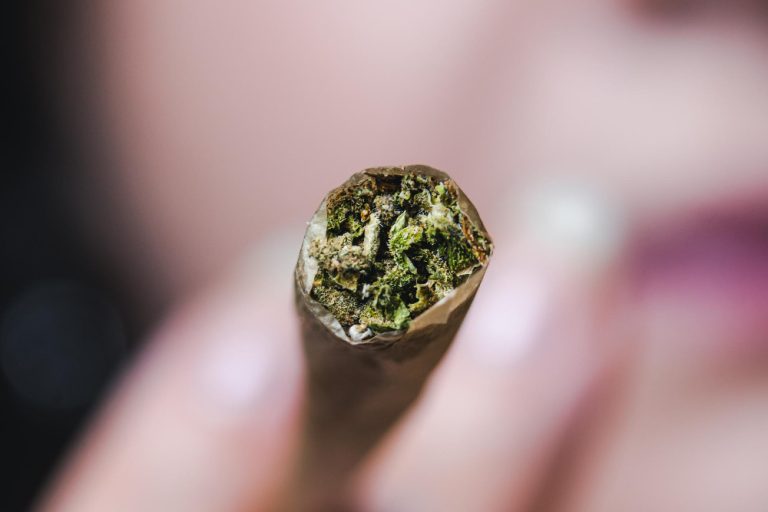 STF tem cinco votos para descriminalizar porte de maconha para consumo