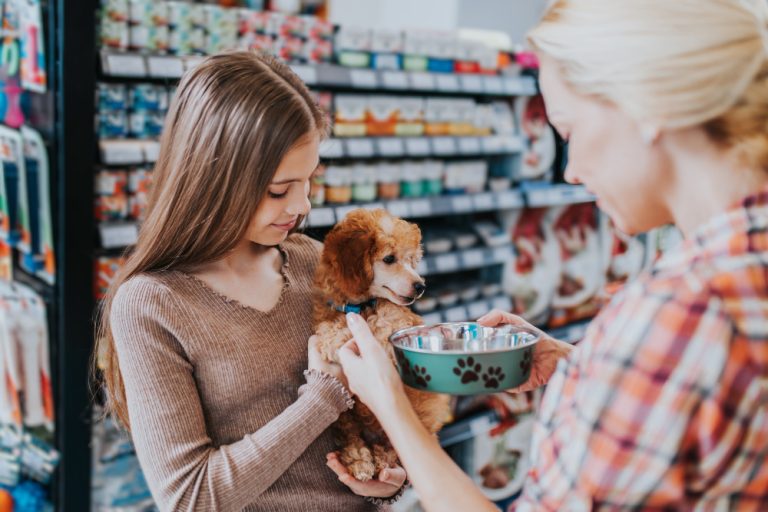 Projeto de lei que proíbe a venda de animais em pet shops e sites é aprovada em São Paulo