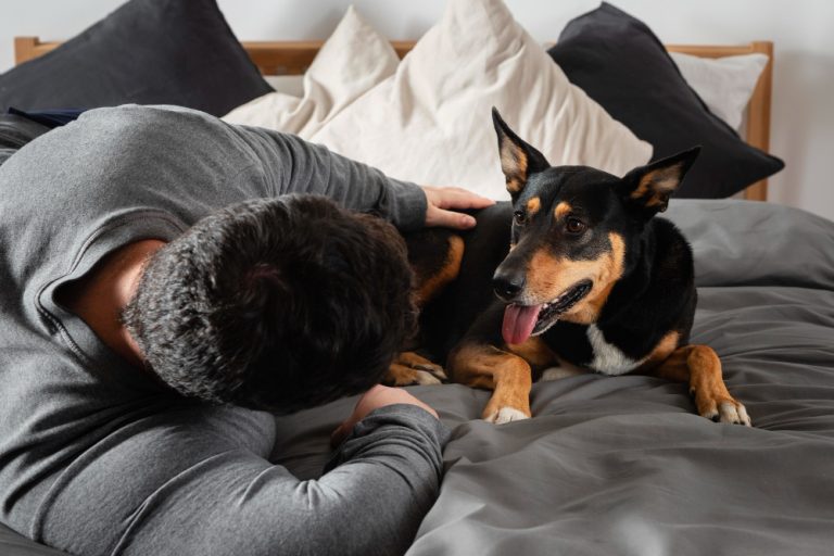 Tutor de cães terá que indenizar por ataque a pet do vizinho
