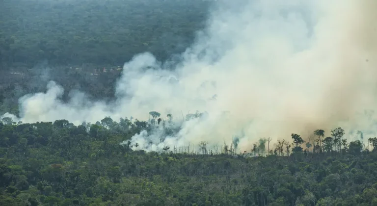 Tempo demais: imputar desmate a quem deixou a região há mais de 30 anos fere o nexo causal, decide Justiça