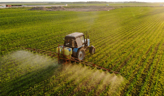 campo trator