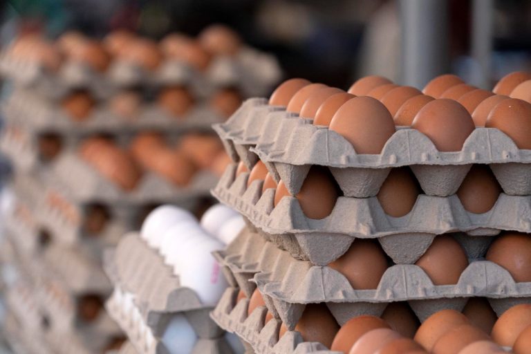 Não havendo provas de que os ovos estavam impróprios para consumo, comprador deve pagar a dívida