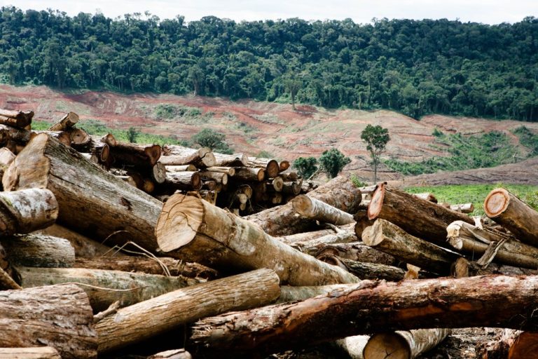 Desmatamento atinge bens de natureza difusa, admitindo imposição de danos morais coletivos