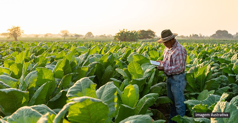 Contaminado por herbicida produtor rural vítima tem indenização assegurada pela Justiça