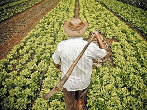 agricultor 2