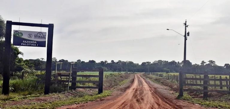 Justiça do Amazonas suspende reintegração de posse da Fazenda Palotina, em Lábrea