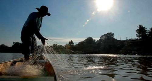 pesca