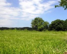 Fazenda_1103