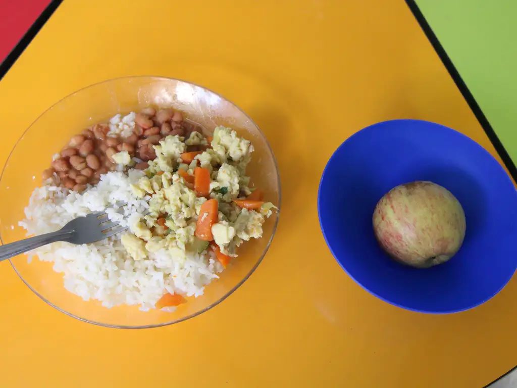 prato de comida