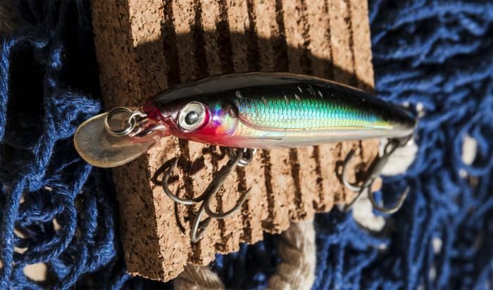 pesca