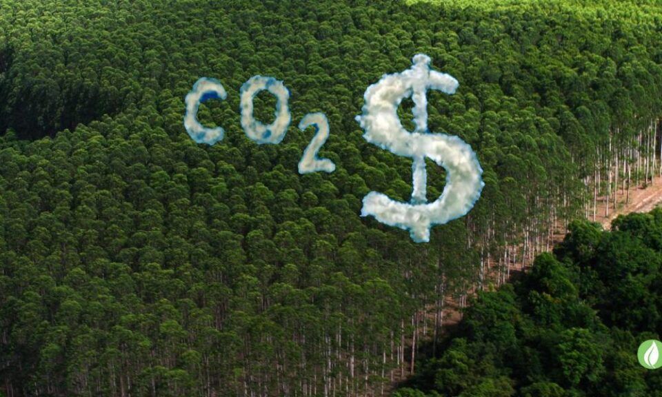 creditos-de-carbono-como-funciona-vantagens-e-desvantagens-2-960x576