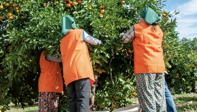 Justiça do Trabalho garante direitos em caso de exposição a agentes nocivos