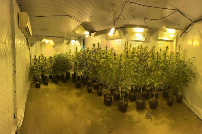 União obtém expropriação de imóvel utilizado no cultivo de droga