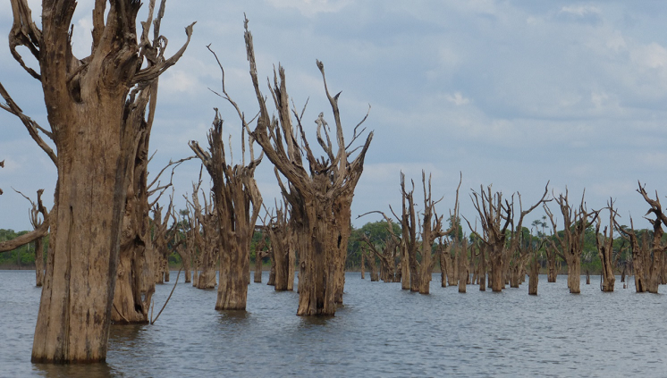 União pede que TRF revise decisão sobre Terra Waimiri-Atroari e áreas alagadas por Balbina, no Amazonas