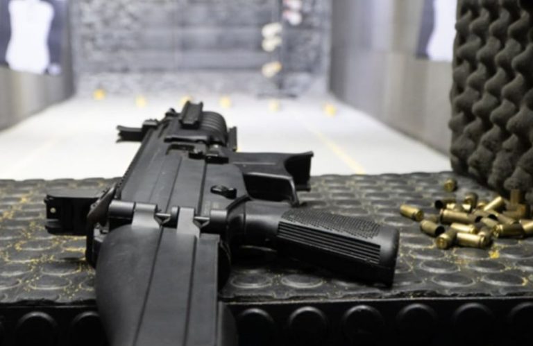 Mulher é condenada por falsificar laudos psicológicos para obter registro de CAC