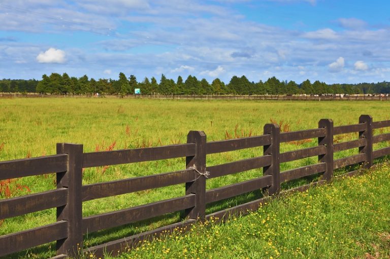 Veterinário que torturou empregado é condenado a pagar cerca de R$ 1 milhão em indenizações