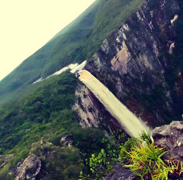 MPAM identifica imóveis rurais irregulares em cinco parques estaduais de proteção integral no Amazonas