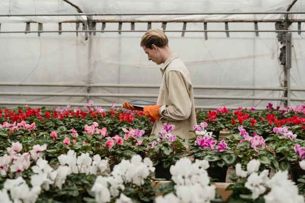 miivfqcuwr-capa-noticia (1)