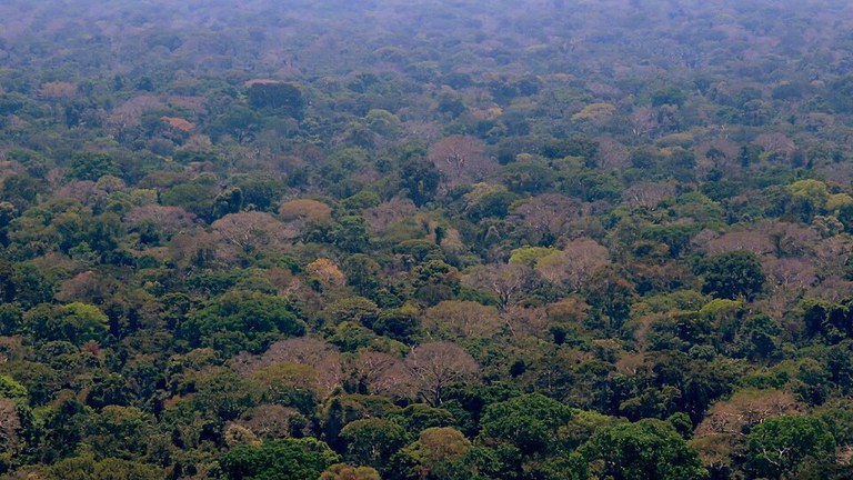 AGU ajuíza 29 ações para proteger o patrimônio da União e coibir fraudes fundiárias na Amazônia