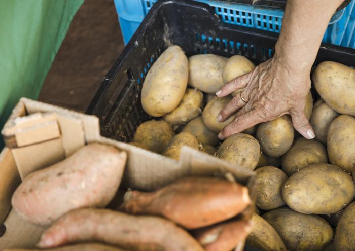 Julgamento com perspectiva de gênero garante aposentadoria por idade para trabalhadora rural