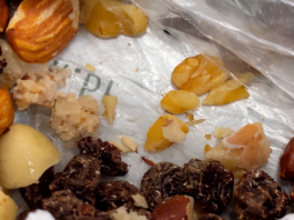 Normas da Anvisa não autorizam insetos vivos: empresa de Manaus é condenada por mix de castanhas contaminado