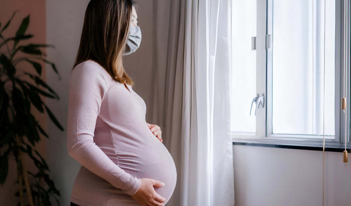Afastamento de gestantes do trabalho presencial na pandemia não caracteriza salário-maternidade