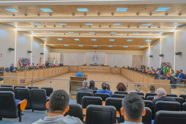 Promulgação de lei impede uso de mandado de segurança para barrar processo legislativo, decide TJAM