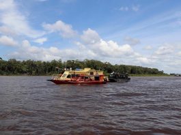 Naufrágio no Amazonas: buscas localizam corpo durante operação; investigação segue em andamento