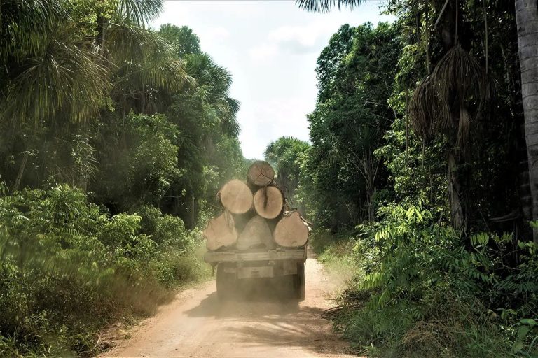 Crime ambiental organizado expõe risco crescente a fiscais do Ibama na Amazônia