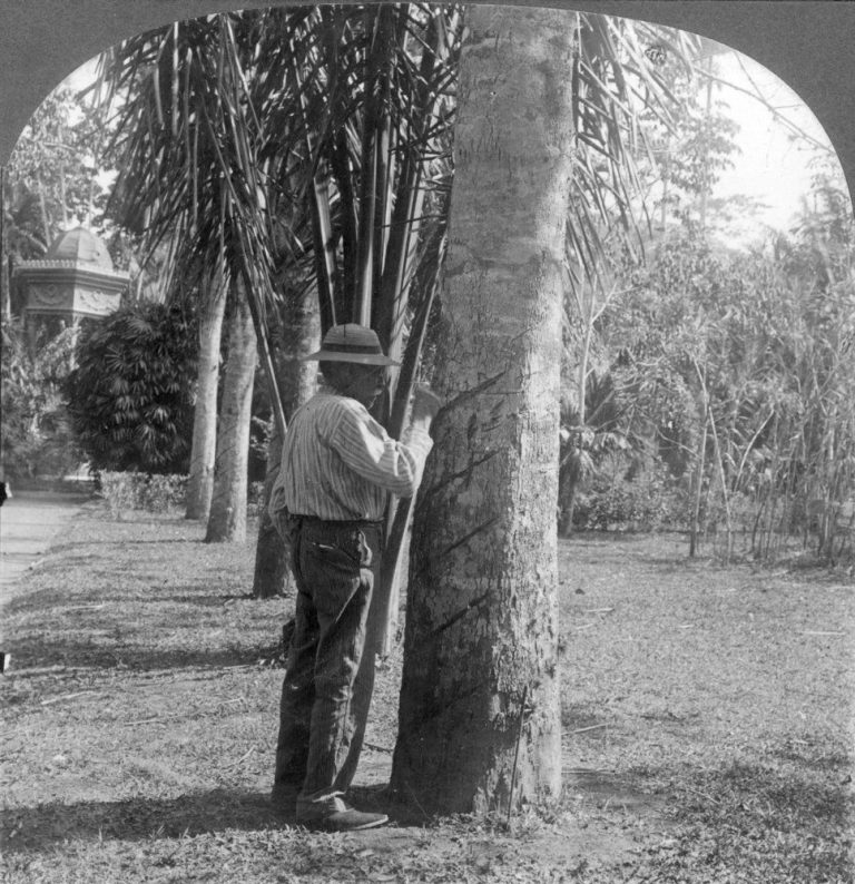 Benefício de ‘soldado da borracha’ não pode ser acumulado com aposentadoria, decide TRF1