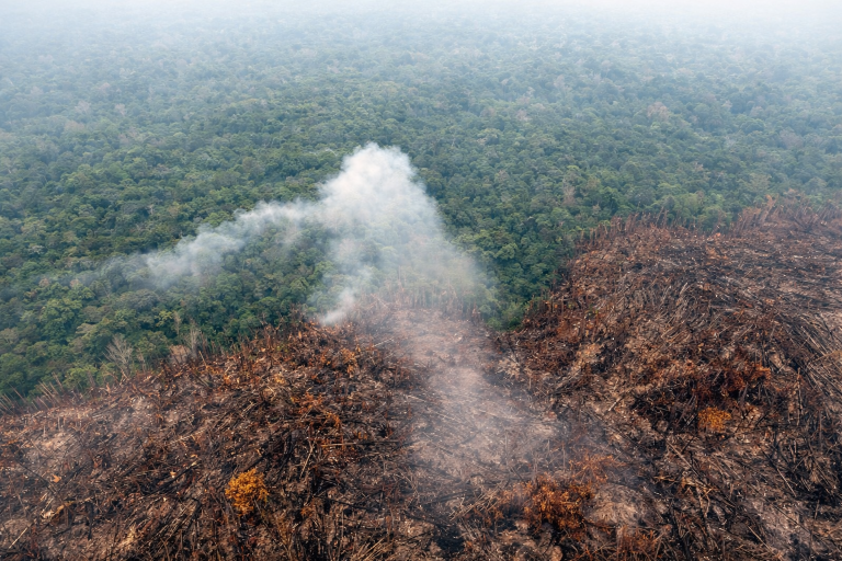 Espólio responde por danos à vegetação ainda que desmatamento possa ter sido causado por invasores