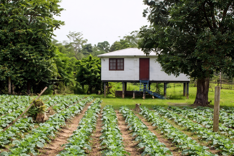Ainda que haja erro administrativo, benefício previdenciário recebido de boa-fé não deve ser devolvido