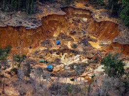 MPF no Amazonas recomenda sistema nacional para identificar a origem da cassiterita