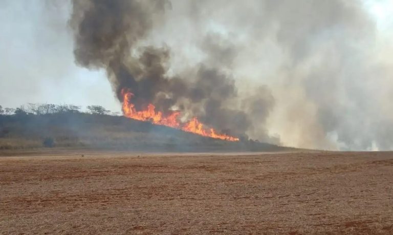 Trabalhador que sofreu queimaduras ao atravessar canavial em chamas será indenizado